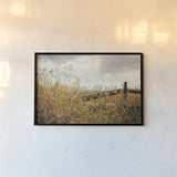 Fencerow by Aledanda. shown as a paper print in a black flame. Available as a archival giclee rolled canvas, fine art paper, or poster print. SKU 63226i.