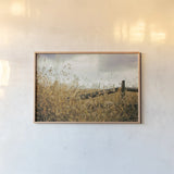Fencerow by Aledanda. shown as a paper print in a natural frame. Available as a archival giclee rolled canvas, fine art paper, or poster print. SKU 63226i.
