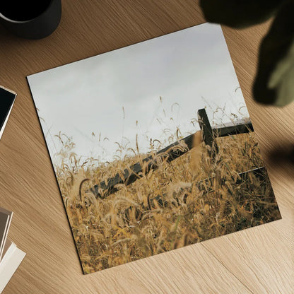 Fencerow Light Crop by Aledanda. Shown as a detailed flat fine art print, highlighting archival giclee quality. Available as an archival giclee rolled canvas, fine art paper, or poster print. SKU 67366a.