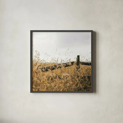 Fencerow Light Crop by Aledanda. Shown in a sleek black glass frame for a contemporary gallery look. Available as an archival giclee rolled canvas, fine art paper, or poster print. SKU 67366a.