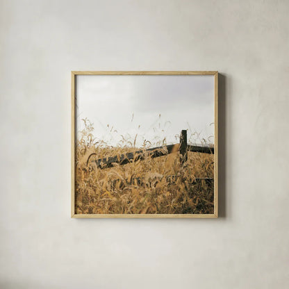 Fencerow Light Crop by Aledanda. Shown in a natural wood glass frame for a timeless modern aesthetic. Available as an archival giclee rolled canvas, fine art paper, or poster print. SKU 67366a.