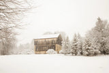 First Snow by Aledanda. SKU 38290i. Archival Giclee Fine art print for wall decor.