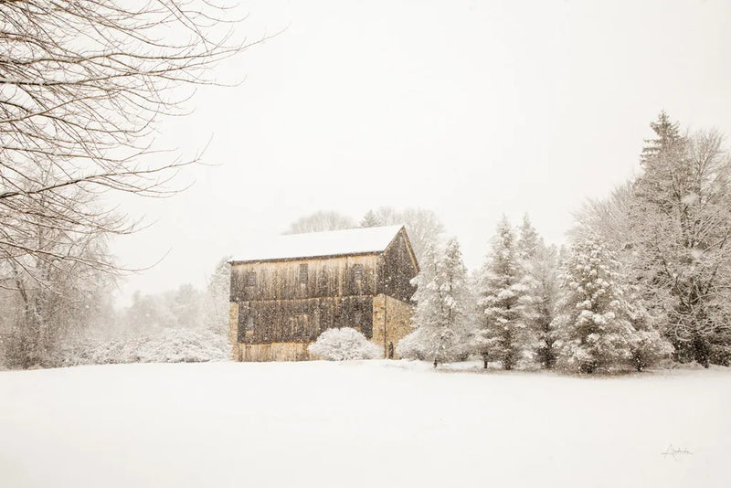 First Snow by Aledanda. SKU 38290i. Archival Giclee Fine art print for wall decor.