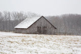 First Snow by Aledanda. SKU 60531i. Archival Giclee Fine art print for wall decor.