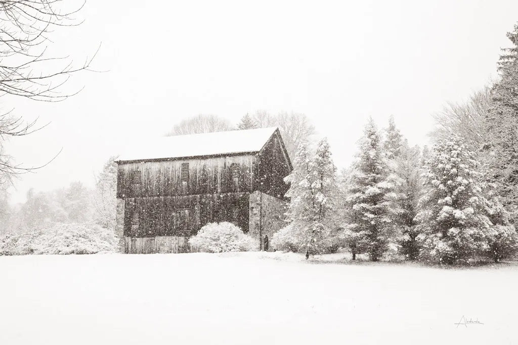 First Snow BW Crop by Aledanda. SKU 60966i. Archival Giclee Fine art print for wall decor.