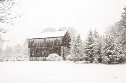 First Snow BW Crop by Aledanda. SKU 60966i. Archival Giclee Fine art print for wall decor.