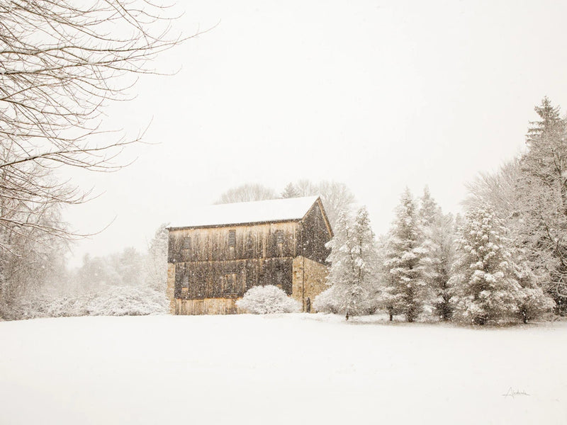 First Snow Crop by Aledanda