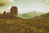 Floral Fields by Aledanda. SKU 63227i. Archival Giclee Fine art print for wall decor.