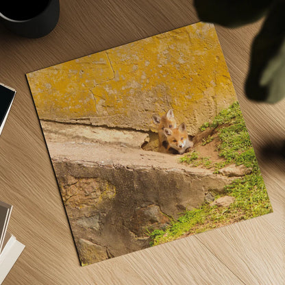 Fox Cubs II by Aledanda. Shown as a detailed flat fine art print, highlighting archival giclee quality. Available as an archival giclee rolled canvas, fine art paper, or poster print. SKU 58134a.