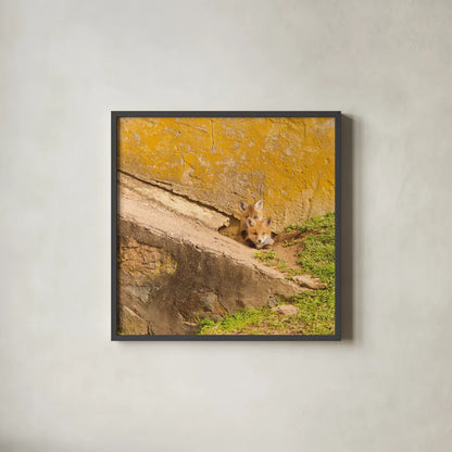 Fox Cubs II by Aledanda. Shown in a sleek black glass frame for a contemporary gallery look. Available as an archival giclee rolled canvas, fine art paper, or poster print. SKU 58134a.
