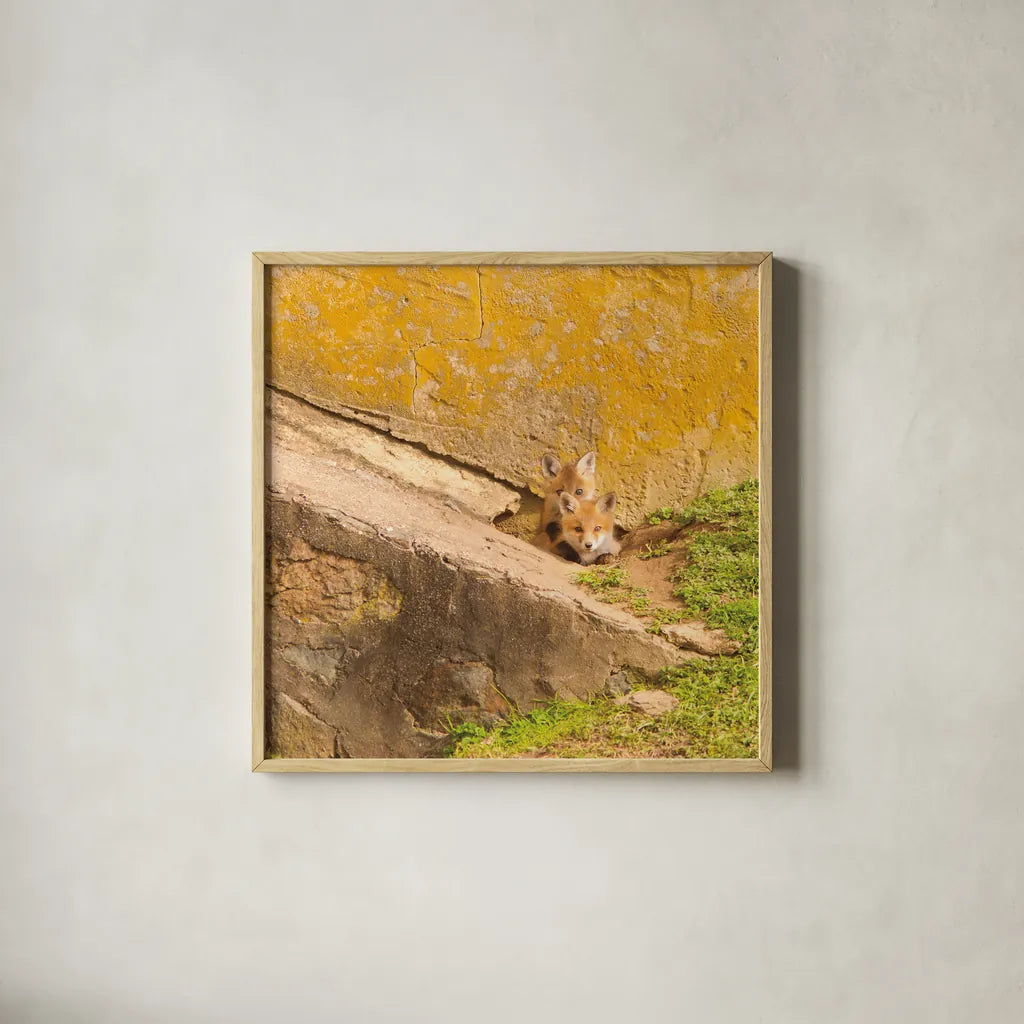 Fox Cubs II by Aledanda. Shown in a natural wood glass frame for a timeless modern aesthetic. Available as an archival giclee rolled canvas, fine art paper, or poster print. SKU 58134a.