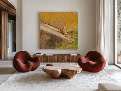 Fox Cubs II by Aledanda. Shown as extra-large giant wall art in a modern living room. Available as an archival giclee rolled canvas, fine art paper, or poster print. SKU 58134a.