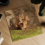 Fox Cubs III by Aledanda. Shown as a detailed flat fine art print, highlighting archival giclee quality. Available as an archival giclee rolled canvas, fine art paper, or poster print. SKU 58254a.
