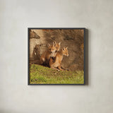 Fox Cubs III by Aledanda. Shown in a sleek black glass frame for a contemporary gallery look. Available as an archival giclee rolled canvas, fine art paper, or poster print. SKU 58254a.