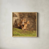 Fox Cubs III by Aledanda. Shown in a natural wood glass frame for a timeless modern aesthetic. Available as an archival giclee rolled canvas, fine art paper, or poster print. SKU 58254a.