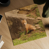 Fox Cubs IV by Aledanda. Shown as a detailed flat fine art print, highlighting archival giclee quality. Available as an archival giclee rolled canvas, fine art paper, or poster print. SKU 58255a.