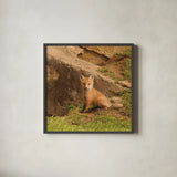 Fox Cubs IV by Aledanda. Shown in a sleek black glass frame for a contemporary gallery look. Available as an archival giclee rolled canvas, fine art paper, or poster print. SKU 58255a.
