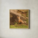 Fox Cubs IV by Aledanda. Shown in a natural wood glass frame for a timeless modern aesthetic. Available as an archival giclee rolled canvas, fine art paper, or poster print. SKU 58255a.