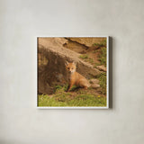 Fox Cubs IV by Aledanda. Shown in a crisp white glass frame for a clean and minimalist style. Available as an archival giclee rolled canvas, fine art paper, or poster print. SKU 58255a.