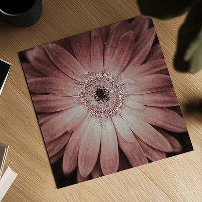 Gerbera by Aledanda. Shown as a detailed flat fine art print, highlighting archival giclee quality. Available as an archival giclee rolled canvas, fine art paper, or poster print. SKU 37456a.