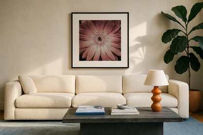 Gerbera by Aledanda. Displayed in a glass frame with matte in a clean modern living room. Available as an archival giclee rolled canvas, fine art paper, or poster print. SKU 37456a.