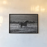 Going Home by Aledanda. shown as a paper print in a black flame. Available as a archival giclee rolled canvas, fine art paper, or poster print. SKU 38299i.