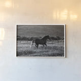 Going Home by Aledanda. shown as a paper print in a white frame. Available as a archival giclee rolled canvas, fine art paper, or poster print. SKU 38299i.