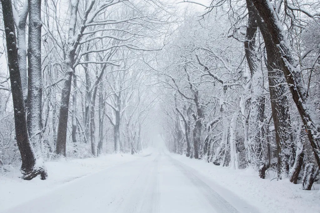 Going Home by Aledanda. SKU 60994i. Archival Giclee Fine art print for wall decor.