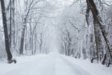 Going Home by Aledanda. SKU 60994i. Archival Giclee Fine art print for wall decor.