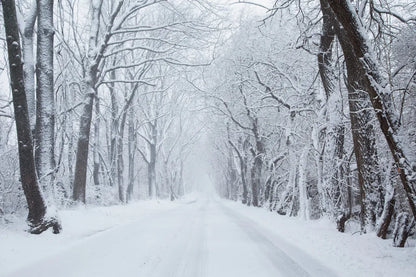 Going Home by Aledanda. SKU 60994i. Archival Giclee Fine art print for wall decor.