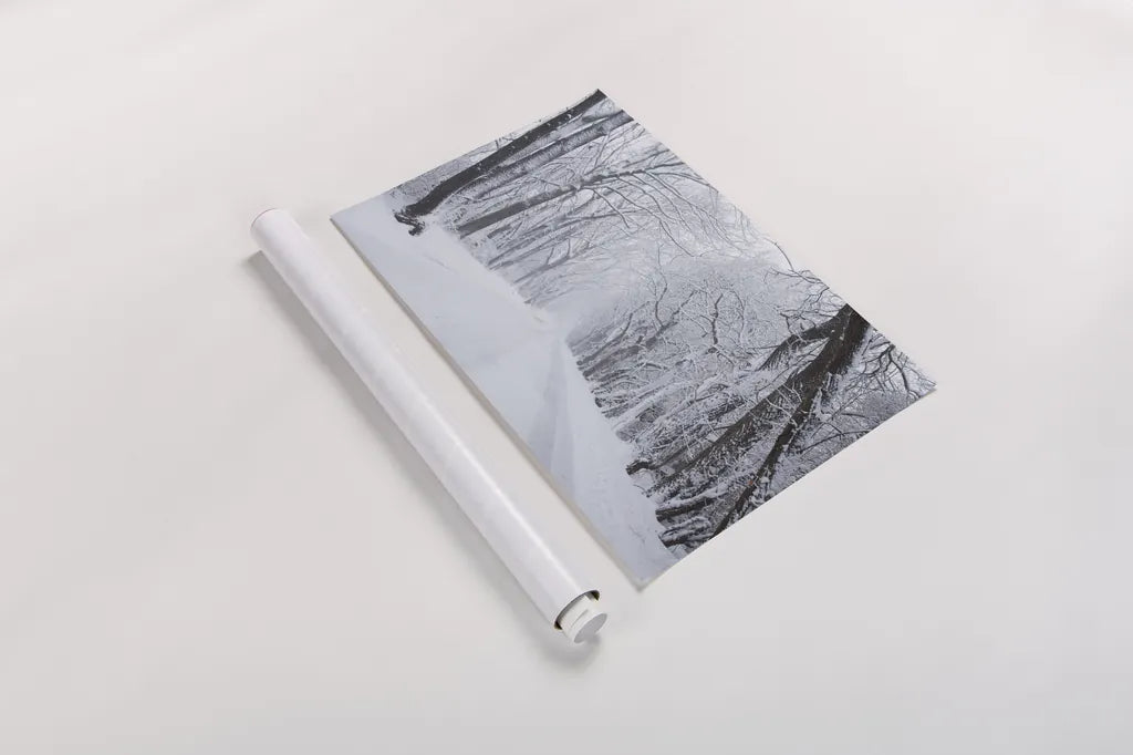 Going Home by Aledanda. shown as a rolled paper print. Available as archival giclee rolled canvas, fine art paper, or poster print. SKU 60994i.