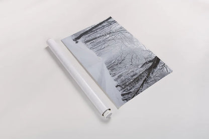 Going Home by Aledanda. shown as a rolled paper print. Available as archival giclee rolled canvas, fine art paper, or poster print. SKU 60994i.