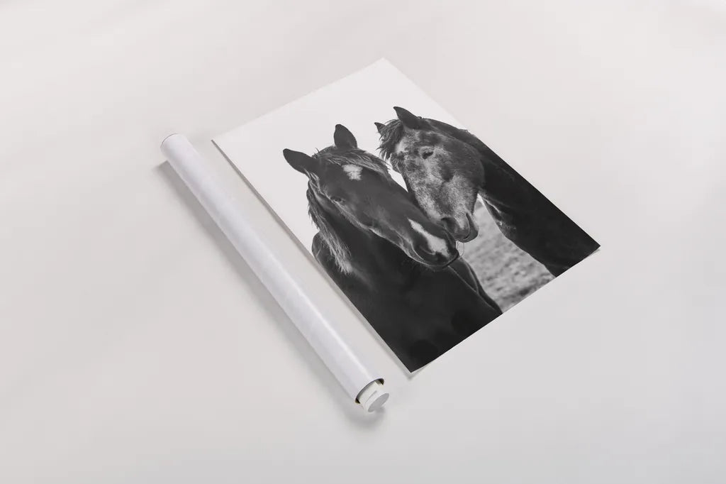 Good Friends Mane by Aledanda. shown as a rolled paper print. Available as archival giclee rolled canvas, fine art paper, or poster print. SKU 71287h.