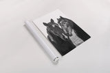 Good Friends Mane by Aledanda. shown as a rolled paper print. Available as archival giclee rolled canvas, fine art paper, or poster print. SKU 71287h.