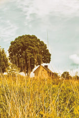 Grass and Sky by Aledanda. SKU 63228h. Archival Giclee Fine art print for wall decor.