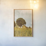 Grass and Sky by Aledanda. shown as a paper print in a natural frame. Available as a archival giclee rolled canvas, fine art paper, or poster print. SKU 63228h.