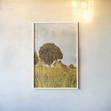 Grass and Sky by Aledanda. shown as a paper print in a white frame. Available as a archival giclee rolled canvas, fine art paper, or poster print. SKU 63228h.