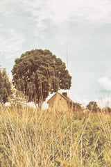 Grass and Sky Light by Aledanda. SKU 71600h. Archival Giclee Fine art print for wall decor.