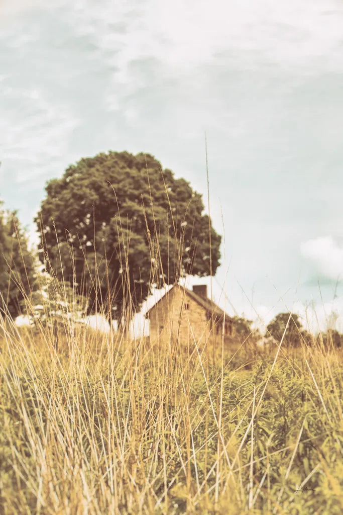 Grass and Sky Light by Aledanda. SKU 71600h. Archival Giclee Fine art print for wall decor.