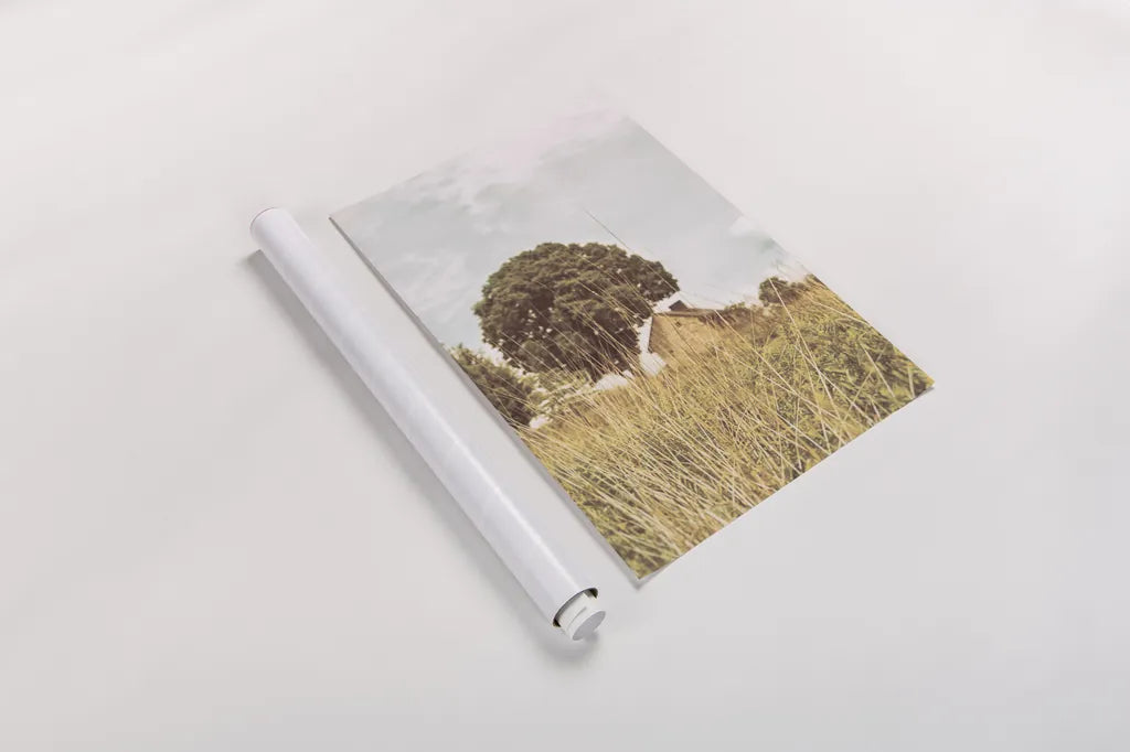 Grass and Sky Light by Aledanda. shown as a rolled paper print. Available as archival giclee rolled canvas, fine art paper, or poster print. SKU 71600h.