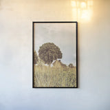 Grass and Sky Light by Aledanda. shown as a paper print in a black flame. Available as a archival giclee rolled canvas, fine art paper, or poster print. SKU 71600h.