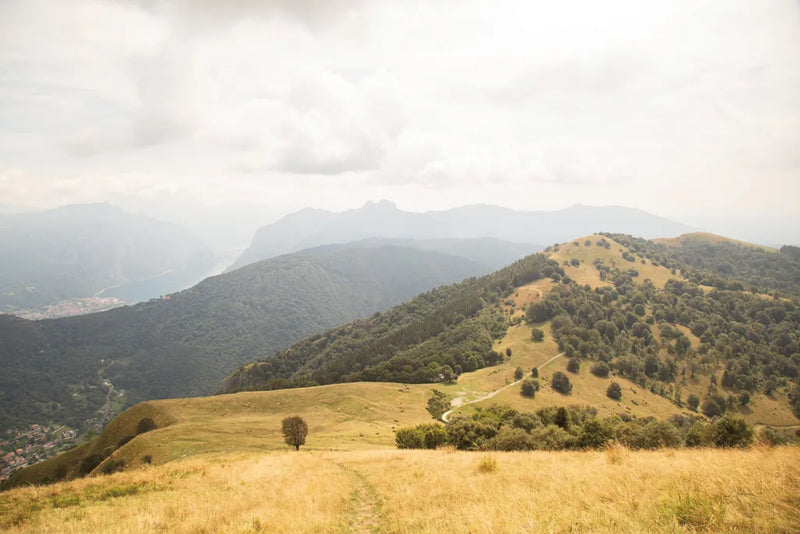 Grassy Hills and Mountains by Aledanda. SKU 63229i. Archival Giclee Fine art print for wall decor.