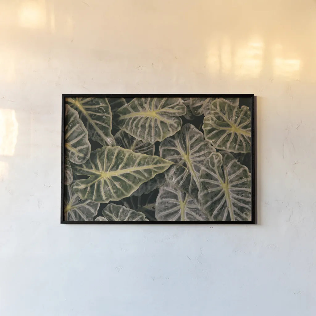 Greenery Abounds by Aledanda. shown as a paper print in a black flame. Available as a archival giclee rolled canvas, fine art paper, or poster print. SKU 63216i.