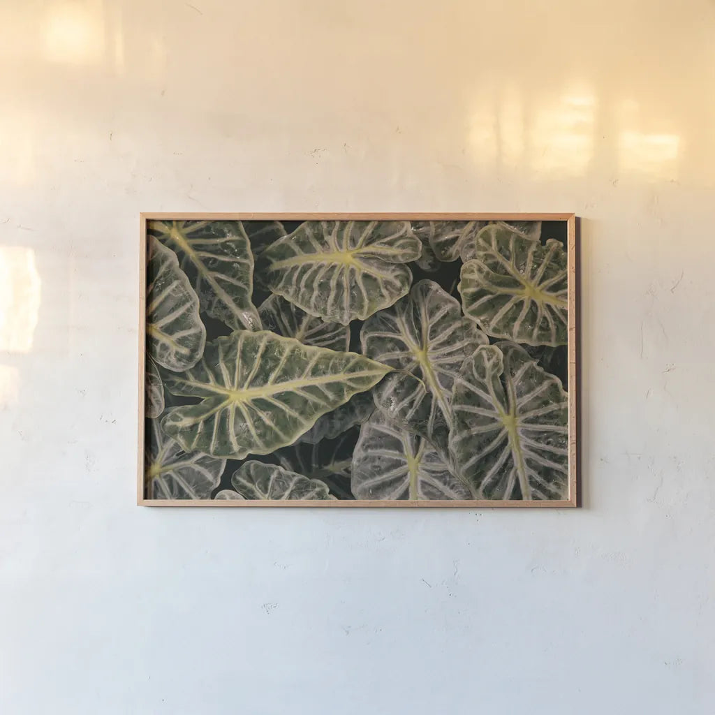 Greenery Abounds by Aledanda. shown as a paper print in a natural frame. Available as a archival giclee rolled canvas, fine art paper, or poster print. SKU 63216i.