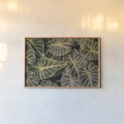 Greenery Abounds by Aledanda. shown as a paper print in a natural frame. Available as a archival giclee rolled canvas, fine art paper, or poster print. SKU 63216i.