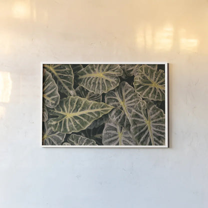 Greenery Abounds by Aledanda. shown as a paper print in a white frame. Available as a archival giclee rolled canvas, fine art paper, or poster print. SKU 63216i.