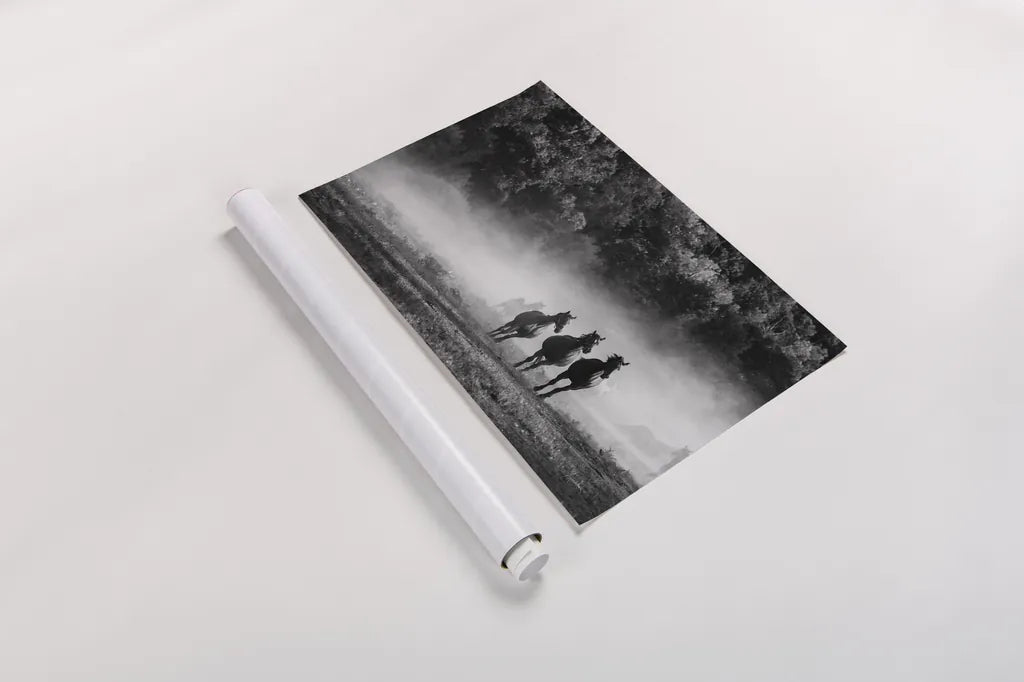 Horse Country Crop by Aledanda. shown as a rolled paper print. Available as archival giclee rolled canvas, fine art paper, or poster print. SKU 38300i.