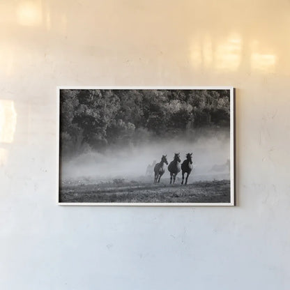 Horse Country Crop by Aledanda. shown as a paper print in a white frame. Available as a archival giclee rolled canvas, fine art paper, or poster print. SKU 38300i.