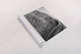 Horse Hair by Aledanda. shown as a rolled paper print. Available as archival giclee rolled canvas, fine art paper, or poster print. SKU 55299i.