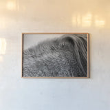 Horse Hair by Aledanda. shown as a paper print in a natural frame. Available as a archival giclee rolled canvas, fine art paper, or poster print. SKU 55299i.